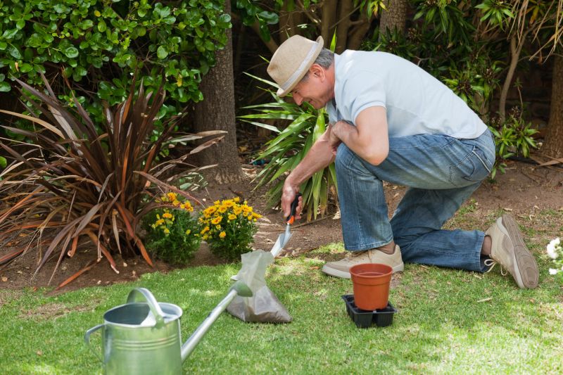 Products For Backyard Regradings in use
